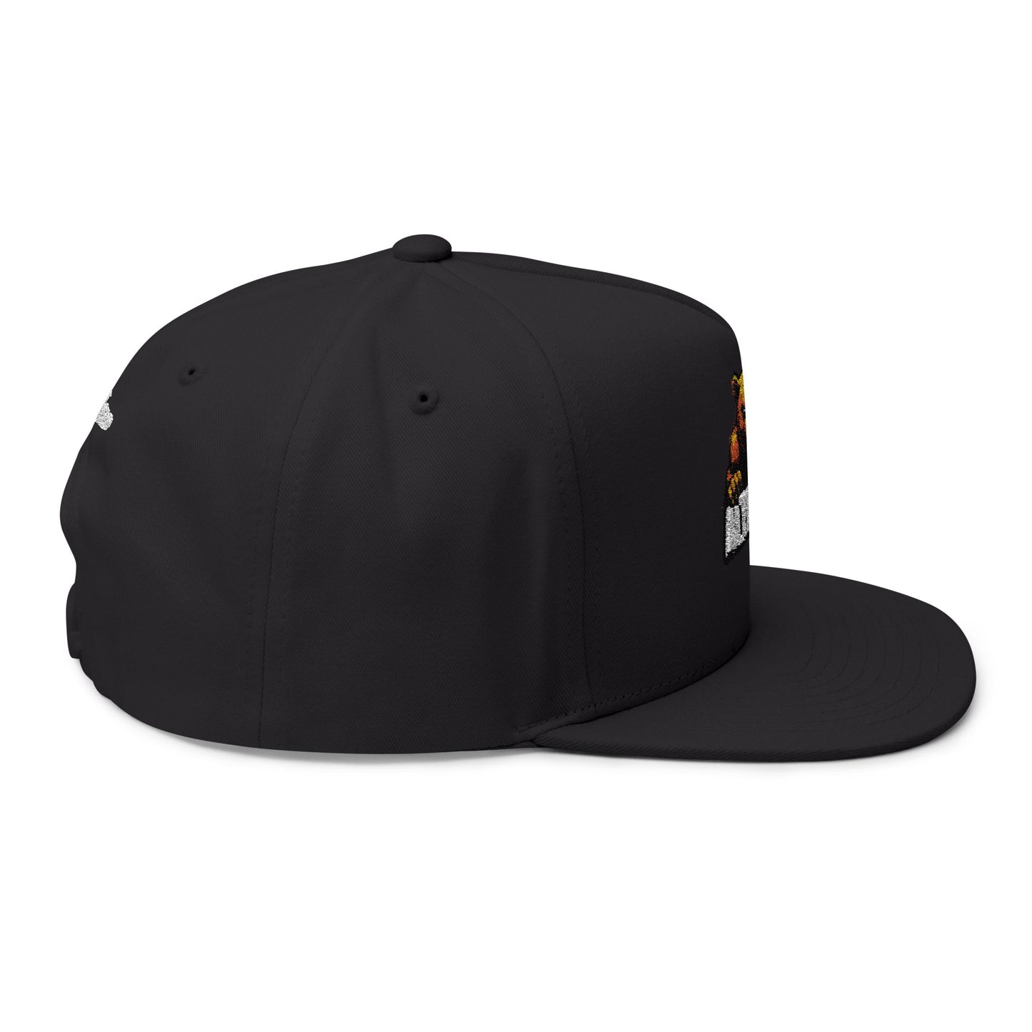 AlterEgo Snapback