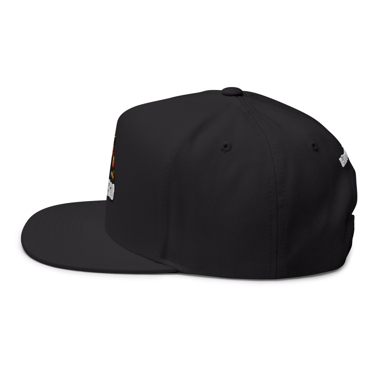AlterEgo Snapback