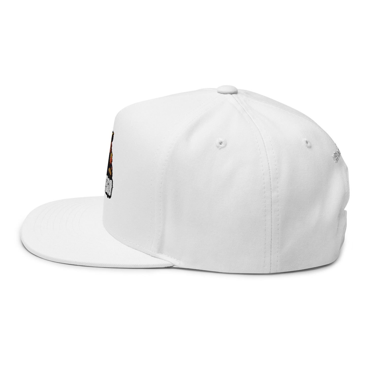 AlterEgo Snapback