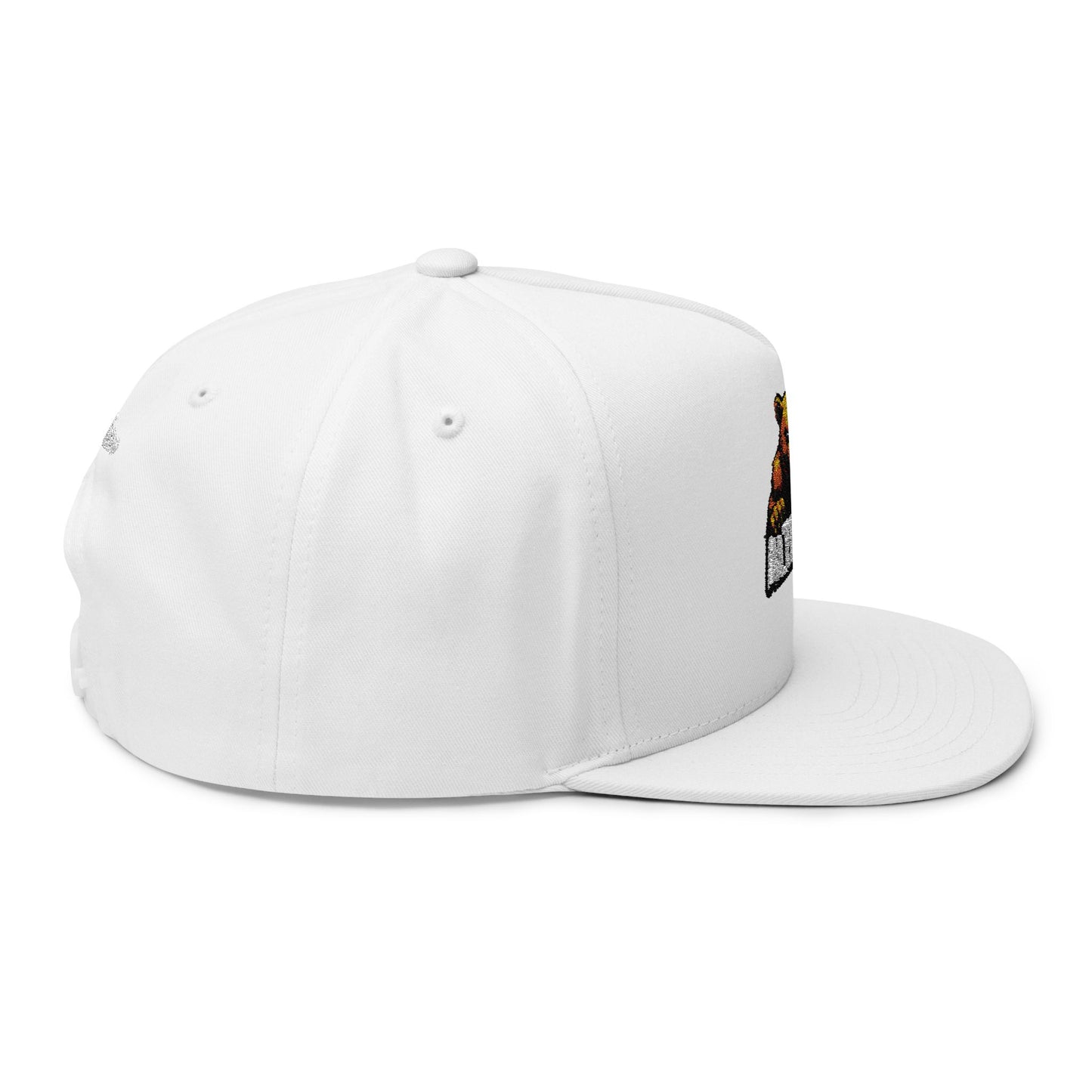 AlterEgo Snapback